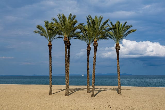 WR diversidad #5 roquetas de mar 003